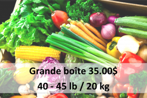Good food box grande boite