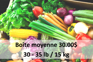 Good food box moyenne boite