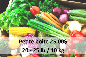 Good food box petite boite