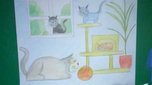 Les chats