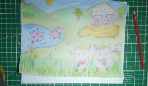 Les cochons